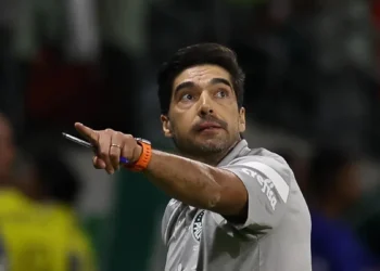 técnico Palmeiras