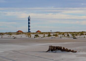 Litoral brasileiro terá novo parque nacional com 558 mil hectares no mar para garantir proteção ao meio ambiente