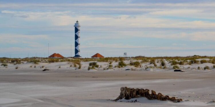 Litoral brasileiro terá novo parque nacional com 558 mil hectares no mar para garantir proteção ao meio ambiente