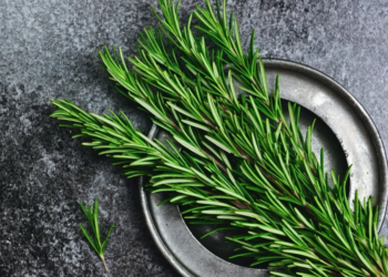 Franceses usam truque caseiro com alecrim para combater a ocupação ilegal de imóveis