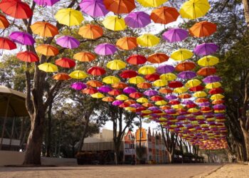 Cidade mais holandesa do Brasil recebe 1,5 milhão de turistas por ano e domina 60% do mercado florista nacional