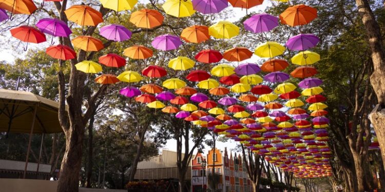 Cidade mais holandesa do Brasil recebe 1,5 milhão de turistas por ano e domina 60% do mercado florista nacional