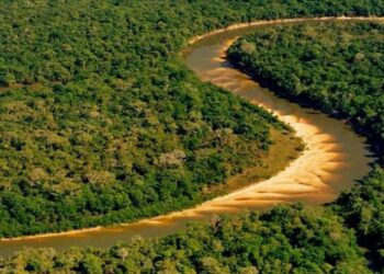 Maior ilha fluvial do mundo com cerca de 20.000 km² fica no estado mais jovem do Brasil