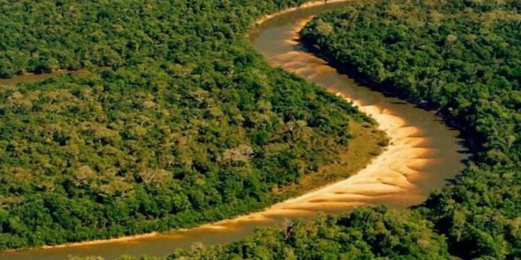 Maior ilha fluvial do mundo com cerca de 20.000 km² fica no estado mais jovem do Brasil