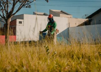 Prefeitura vai aplicar multa de até 50% do valor do IPTU a quem deixar lote com mato alto