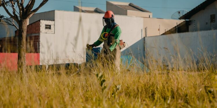Prefeitura vai aplicar multa de até 50% do valor do IPTU a quem deixar lote com mato alto