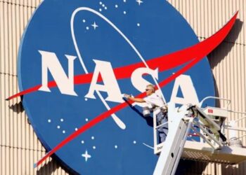 Espécie animal foi devolvida ao seu habitat natural após 150 anos com ajuda da NASA