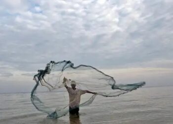 10 peixes que só podem ser pescados com licença do IBAMA