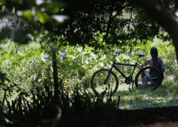 Outono recém começou e primeira virada no tempo já tem data para acontecer