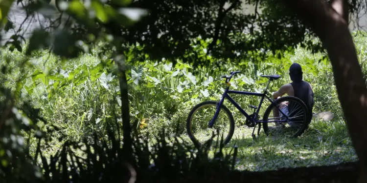 Outono recém começou e primeira virada no tempo já tem data para acontecer