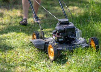 Adeus ao cortador de grama: nova tecnologia promete aposentar o método tradicional