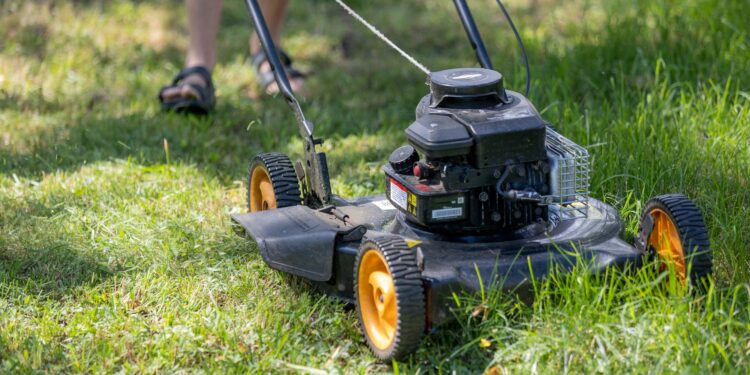 Adeus ao cortador de grama: nova tecnologia promete aposentar o método tradicional