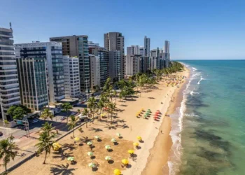 Vale do Silício brasileiro: A capital do Nordeste que abriga a maior concentração de PhDs em tecnologia por habitante