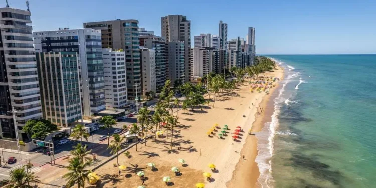 Vale do Silício brasileiro: A capital do Nordeste que abriga a maior concentração de PhDs em tecnologia por habitante