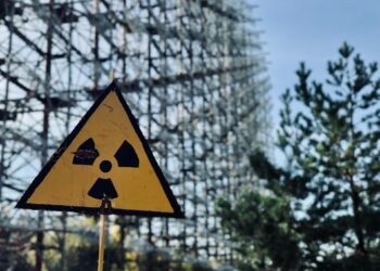 Fungo descoberto em Chernobyl possui habilidade impressionante que surpreende até cientistas