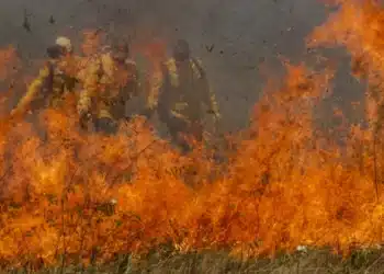 Ator que teve mansão de R$ 29 milhões destruída pelo fogo possui fortuna avaliada em R$ 900 milhões