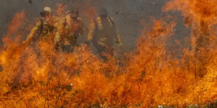 Ator que teve mansão de R$ 29 milhões destruída pelo fogo possui fortuna avaliada em R$ 900 milhões