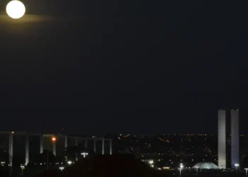 Cientistas alertam toda a população sobre o que está acontecendo durante as noites