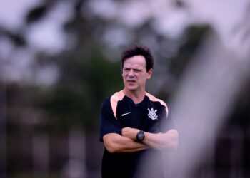 Fernando Diniz trocou socos com jogador do Palmeiras