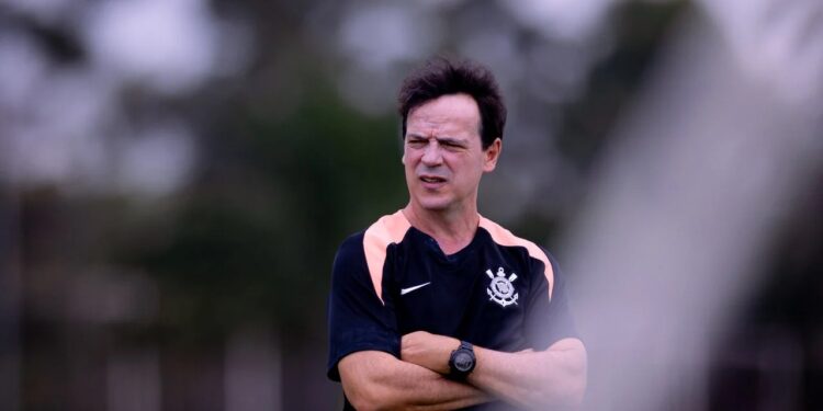 Fernando Diniz trocou socos com jogador do Palmeiras