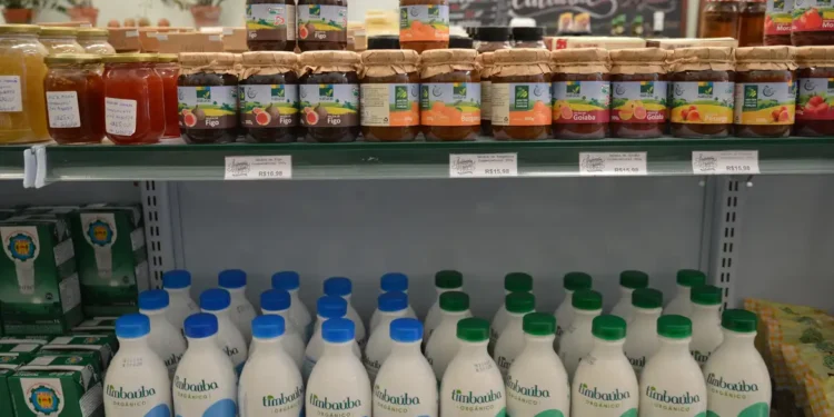 Alerta geral para quem consome alimentos fermentados diariamente