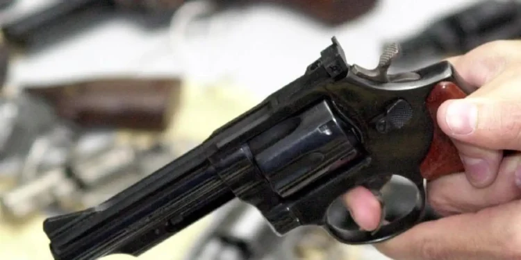 Nova lista de profissões deve ganhar direito a porte de arma no Brasil