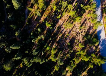 Investimento de R$ 19 milhões em estrada vai criar nova rota turística entre Santa Catarina e Rio Grande do Sul
