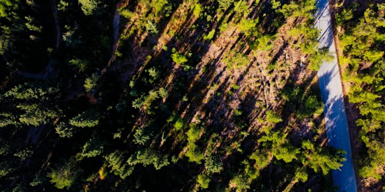 Investimento de R$ 19 milhões em estrada vai criar nova rota turística entre Santa Catarina e Rio Grande do Sul