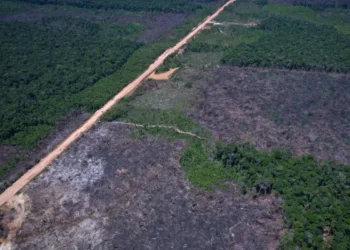 DNIT separa R$ 44,1 milhões para obra que vai substituir balsa com nova ponte de 320 metros