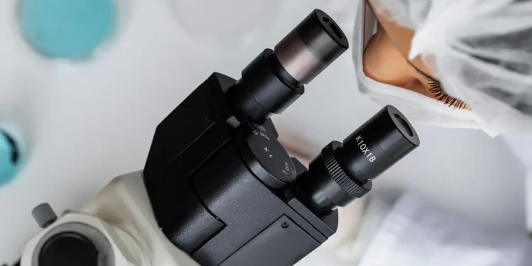 Nova descoberta científica derruba lei formulada há 300 anos