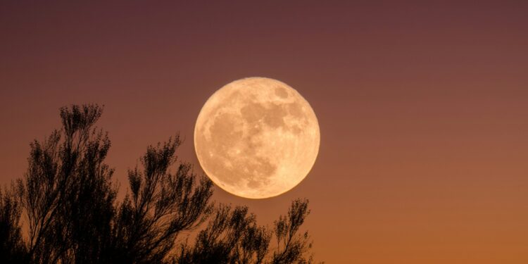 1ª Lua Cheia de abril traz alívio financeiro para 5 signos