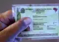 Governo faz exigência determinante para seguir pagando o Bolsa Família