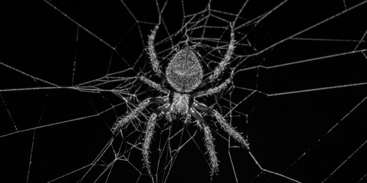 Aranha está sendo usada para transportar pessoas