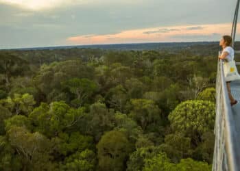 Cidade construída no meio da floresta se tornou uma das maiores do Brasil