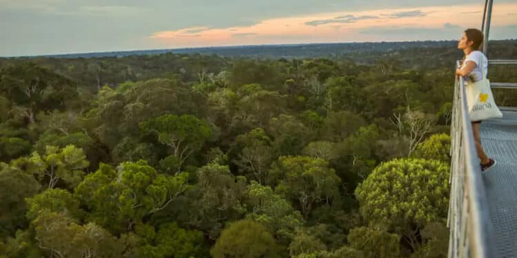 Cidade construída no meio da floresta se tornou uma das maiores do Brasil