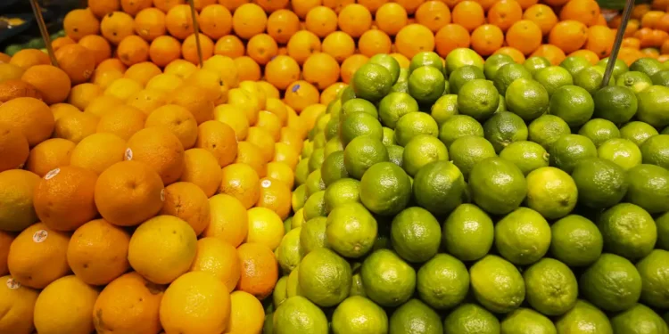 16 melhores frutas que ajudam a emagrecer de forma saudável