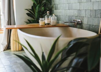 Planta que muitos colocam no banheiro é contraindicada por atrair traças e mais umidade