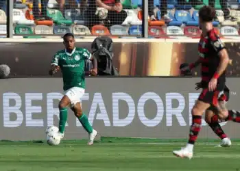 Créditos: Divulgação/Palmeiras