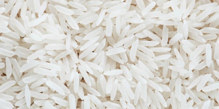 7 alimentos que podem substituir arroz e macarrão no almoço