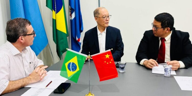 Chineses preparam nova fábrica de R$ 130 milhões para gerar centenas de empregos no interior de MS