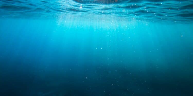 Registro inédito de cientistas revela placa tectônica se rompendo no fundo do mar