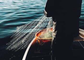 Créditos: Fredrik Öhlander / Unsplash