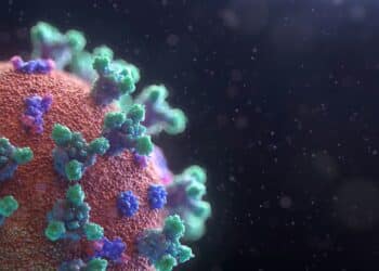 Créditos: Fusion Medical Animation / Unsplash