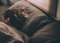 7 receitas caseiras para dormir durante toda a noite
