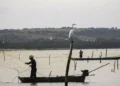 Capital Nacional da Pesca é também a cidade com maior PIB do estado