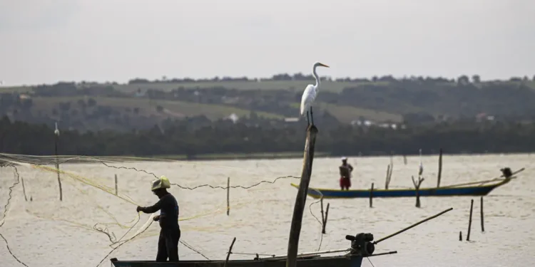 Capital Nacional da Pesca é também a cidade com maior PIB do estado