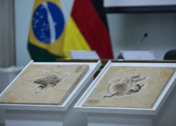Créditos: Joédson Alves/Agência Brasil