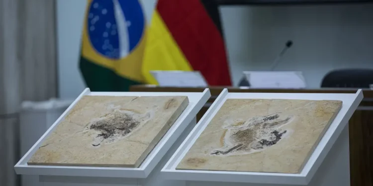 Créditos: Joédson Alves/Agência Brasil