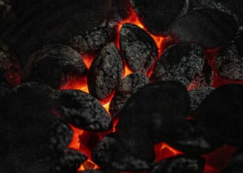 Créditos: Marcos Assis / Unsplash