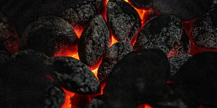 Substituto do carvão permite fazer churrasco sem fumaça em casa